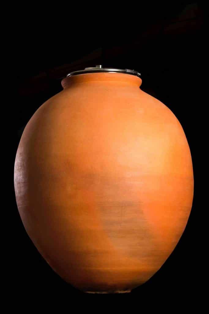 Dolium